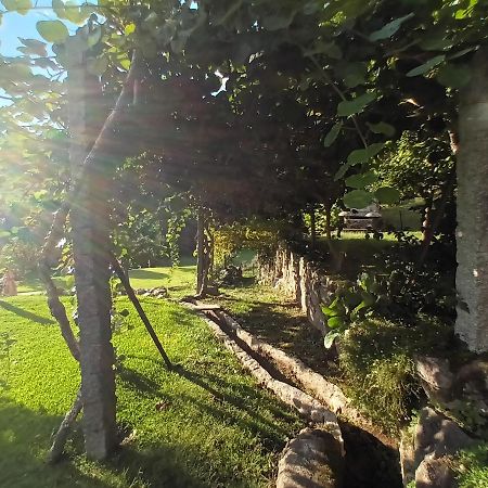 Quinta Da Chanca Paredes de Coura Εξωτερικό φωτογραφία