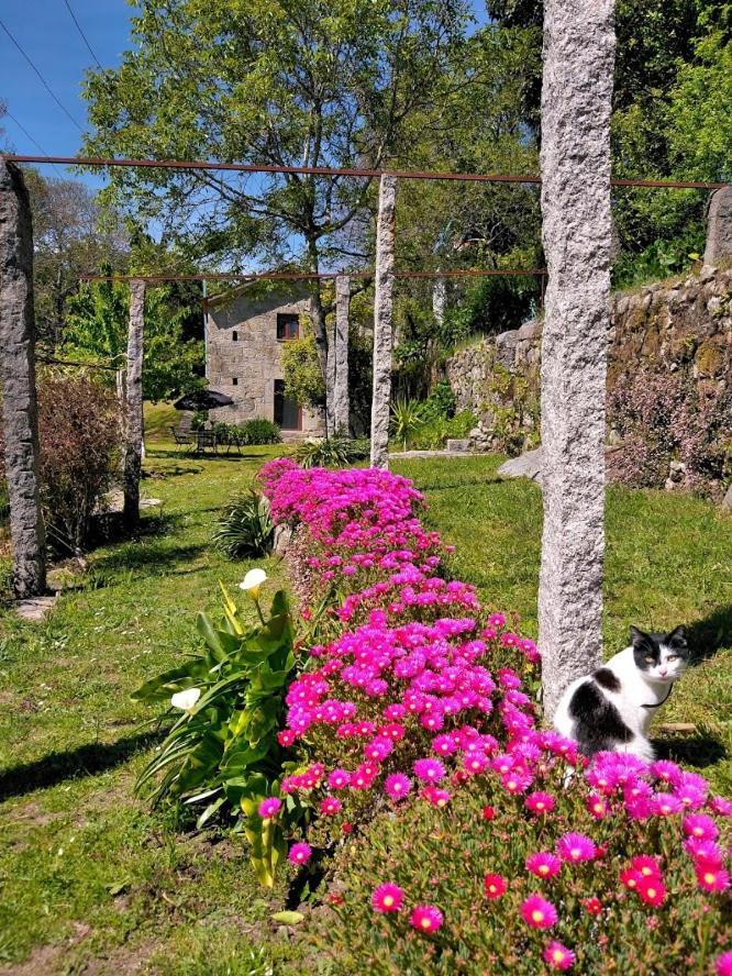 Quinta Da Chanca Paredes de Coura Εξωτερικό φωτογραφία