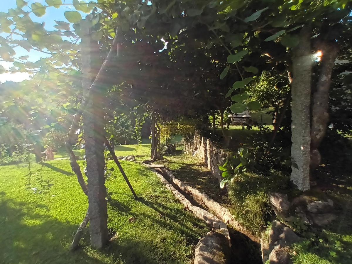 Quinta Da Chanca Paredes de Coura Εξωτερικό φωτογραφία