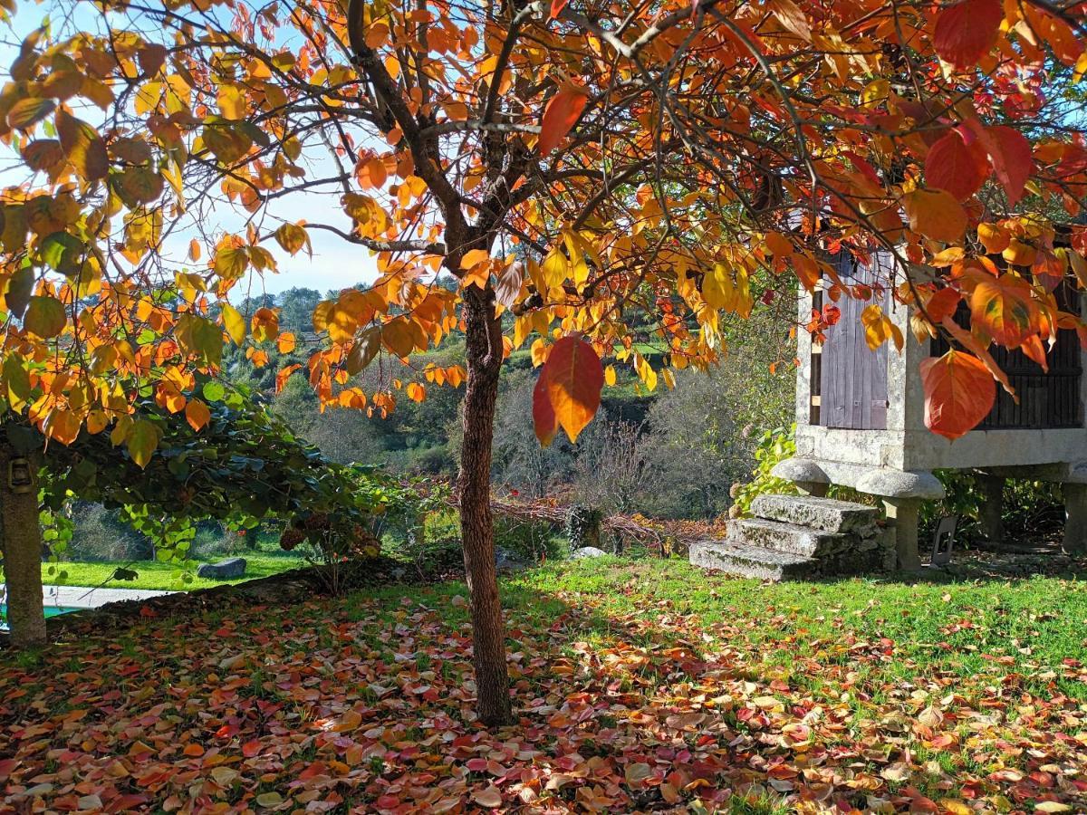 Quinta Da Chanca Paredes de Coura Εξωτερικό φωτογραφία