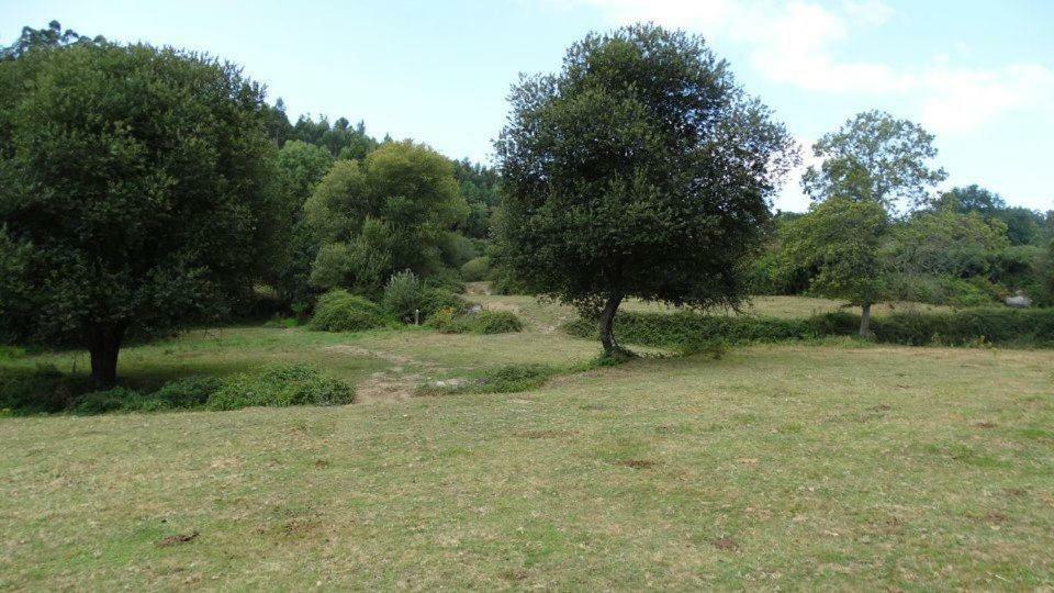 Quinta Da Chanca Paredes de Coura Εξωτερικό φωτογραφία