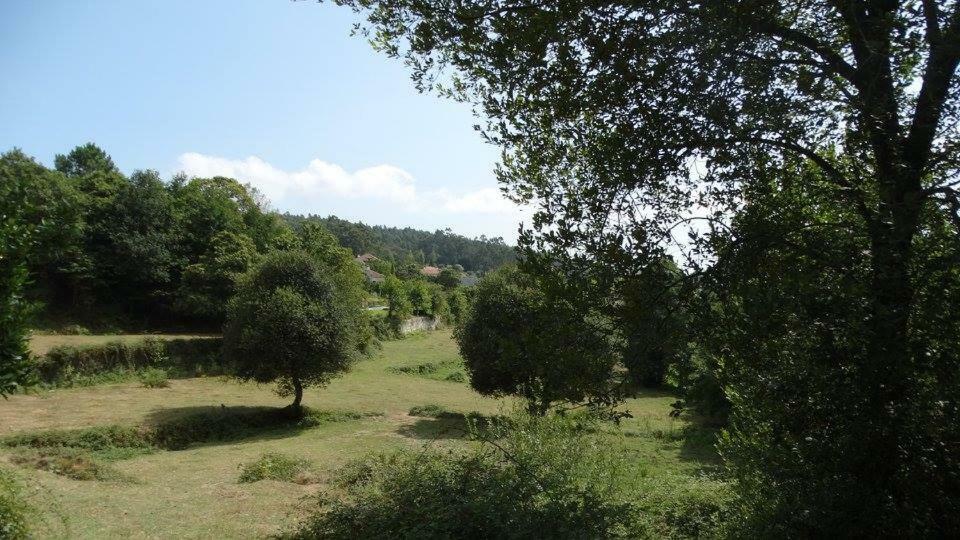Quinta Da Chanca Paredes de Coura Εξωτερικό φωτογραφία